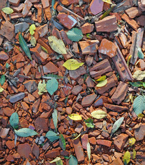 Background of red brick and clay tiles pieces and autumn leaves