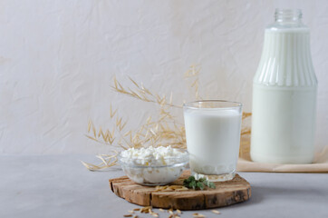 Homemade milk and cottage cheese on a wooden slice on a gray background. Fermented, protein foods and drinks. Copy space, side view