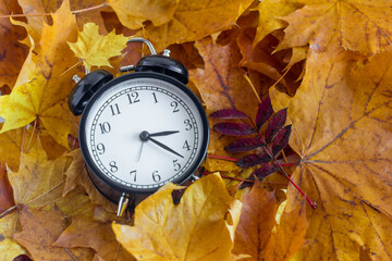 A black analog retro alarm clock stands on bright maple leaves.