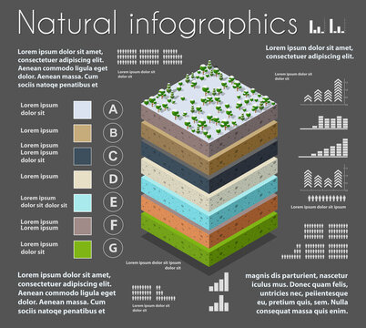 Infographics nature Geological and underground layers of soil under the isometric