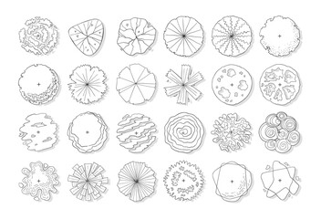 hand drawn vector set of top view tree isolated on white background.