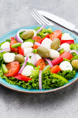 Vegetable salad with cheese mozzarella, tomatoes, basilikum and spice.