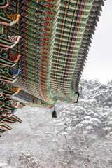 Beautiful wind bell in Korea and snow covered trees
