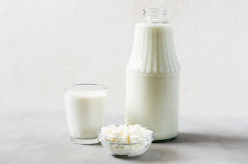 Homemade milk, kefir and cottage cheese on a wooden slice on a gray background. Fermented, protein foods and drinks. Side view, place for text