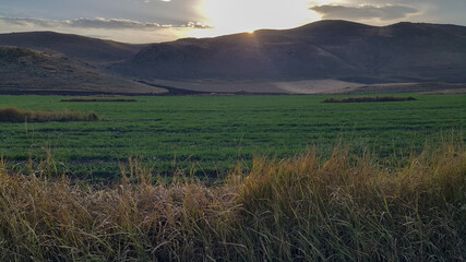 Sunset over the mountains. Soothing background. The brilliant yellow rays of the setting sun spread across the green field as the end of a beautiful blue day turns into a Golden summer evening.