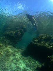 
snorkel in the crystal clear waters of the island of Curacao