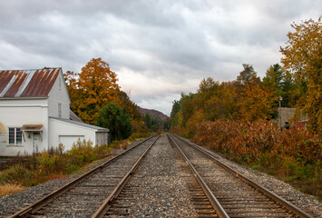 Fototapeta na wymiar Railroad tracks in fall