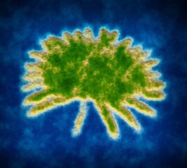 Green Island in the sea shaped as palm leaf