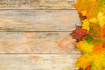 Beautiful bright autumn leaves on a wooden background on the side with copy space. Beautiful autumn background with copy space