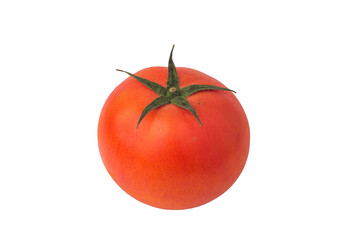 tomatoes on white background
