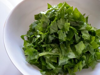 Simple garden salad with spinach on an isolated white background