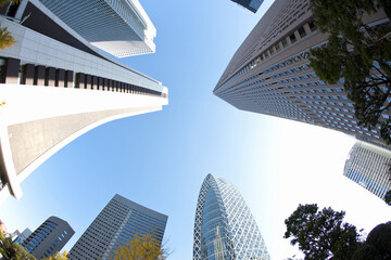 Fototapeta na wymiar 新宿の高層ビル群