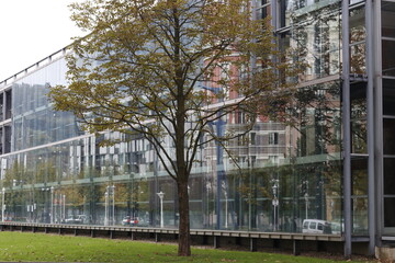 Park in the city