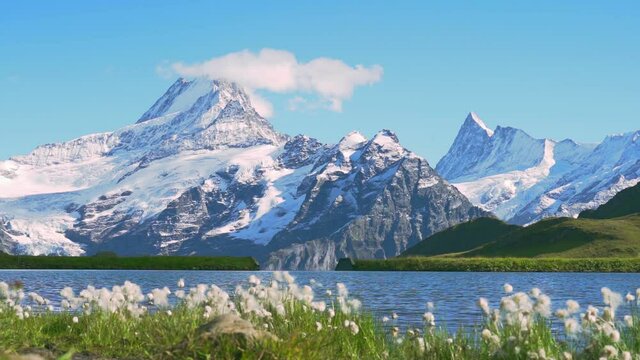 Closeup of Swiss Alps, Bachalpsee lake, beautiful natural landscape