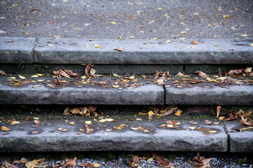trockene Baumblätter auf der Steintreppe