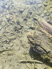 view of the mountains