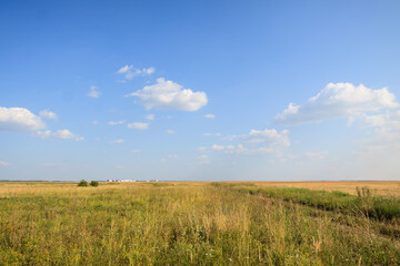 Fototapeta na wymiar grass field and sky