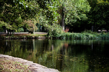 Naturlandschaft im Herbst