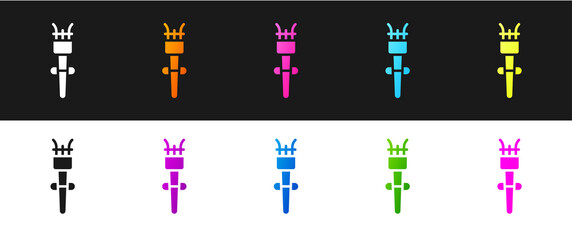 Obraz premium Set Torch flame icon isolated on black and white background. Symbol fire hot, flame power, flaming and heat. Vector.