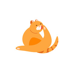 Red plump cat washing itself vector character