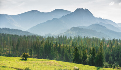 Misty Tatra Mountains - view from the village of Murzasichle
