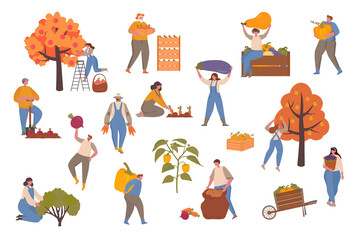 Male and Female Farmers Characters Harvesting on Farm. Vector illustration with small people for web page, presentation, print, banner. Farming, harvesting, collecting vegetables.