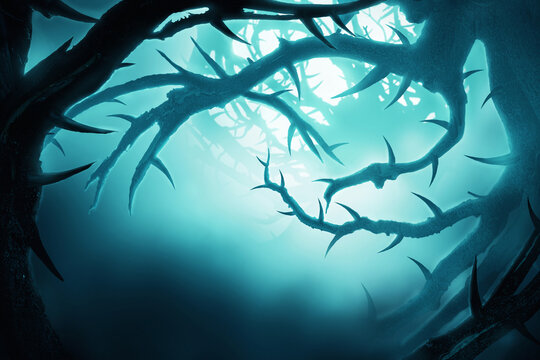 dark mystical forest in fog at night