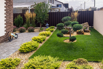 Modern  conifer tree garden design. Front yard landscaping. Cloud pruned topiary tree, tuya and decorative cereals grass.