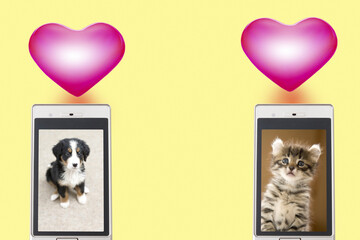 携帯画面に写る犬と猫の写真