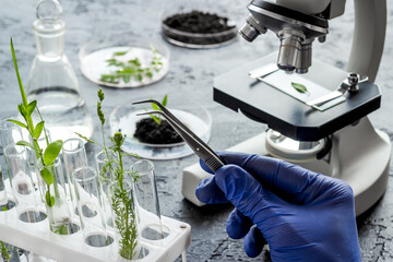 Biologist researching plants with microscope in biological chemistry lab