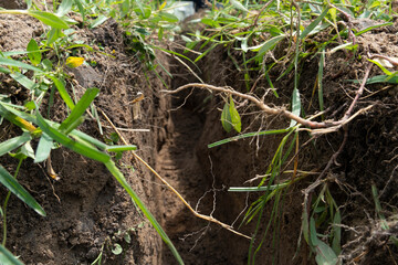 Beside view of hole in the middle for the construction or transportation of underground equipment.