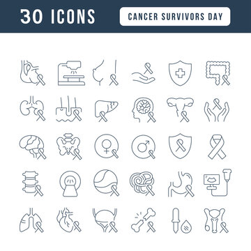 Vector Line Icons of Cancer Survivors Day