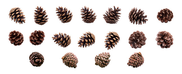A collection of small pine cone for Christmas tree decoration isolated against a white background. - obrazy, fototapety, plakaty