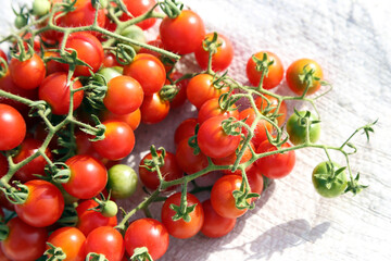cherry tomatoes on the branches