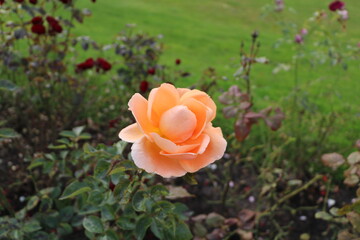 ВДНХ МОСКВА