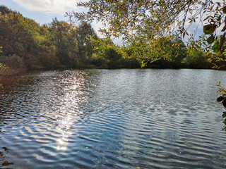  Seelandschaft im Herbst