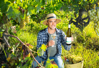 Naklejka na ściany i meble Woman proffesional winemaker with white wine near basket of grapes in sunny garden