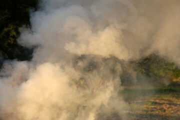 Fototapeta na wymiar The thick smoke background texture