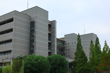 Fototapeta premium 大阪 日本