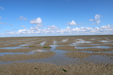 A walk in isolation through wadden sea national park in Southern Denmark