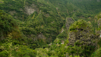 View on a tropical forest in the mountains, Reunion Island