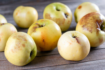 Naklejka na ściany i meble Little apples ugly but good. Rotten apple on the wooden background