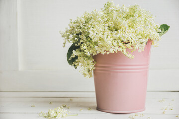 Elder flowers in a bucket