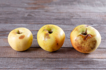 Three ripe apples close-up. Trend-ugliness