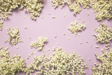 Spring floral background