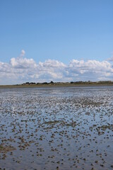 The wadden sea around Mando island in South Denmark 