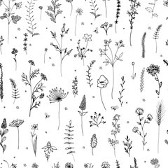 Sketch flowers collection. Seamless pattern with flowers and insect. Print for design.