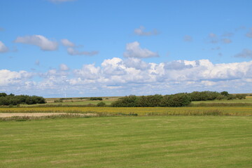 Obraz premium Being isolated in the dunes of Mando island in Denmark