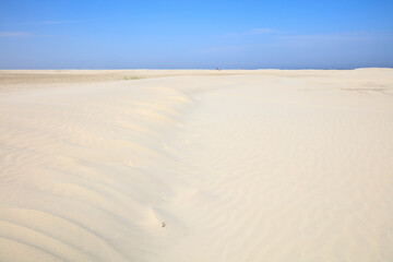 Sanddünen im Nationalpark, UNESCO-Weltnaturerbe Wattenmeer, Borkum, Ostfriesische Insel, Niedersachsen, Deutschland, Europa
