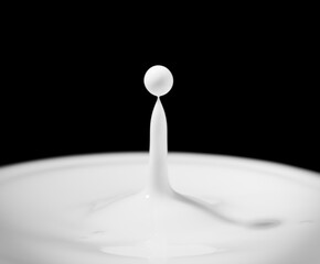 Drop of milk - milk droplet falling on white liquid and creating splash with circle ripple. Dairy products isolated on black background